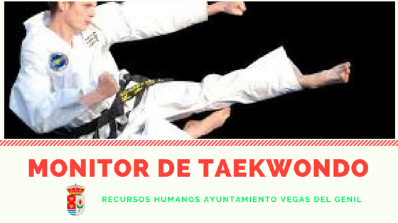 Selección de un Monitor/a de Taekwondo